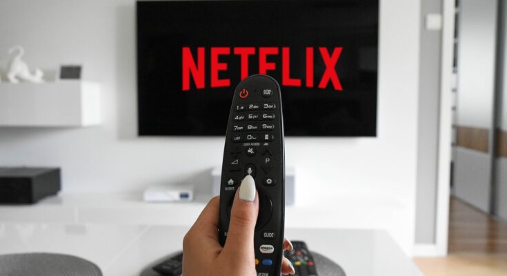 Netflix Secret Codes